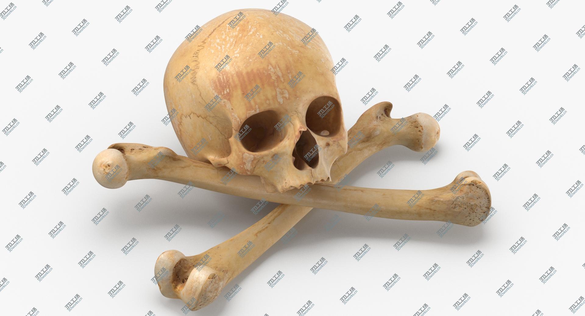 images/goods_img/202104091/3D Pirate Skull and Bones Composition 01 model/1.jpg